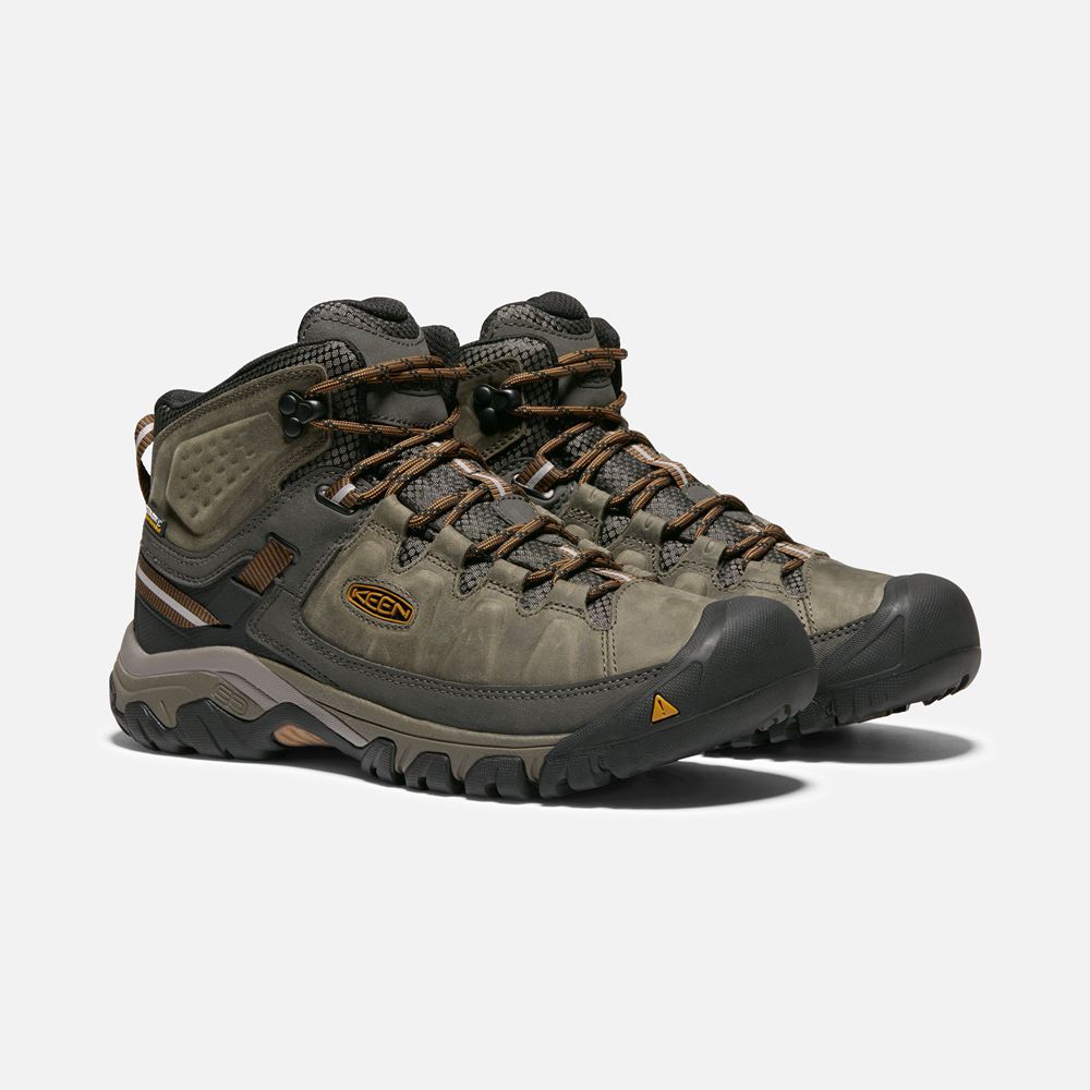 Keen Laarzen Heren Olijfgroen/Zwart - Targhee Iii Waterproof Mid Wide - 05136-HWPO